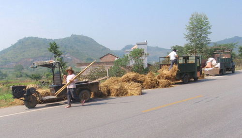 A co-op, perhaps all related, helping with the harvest.